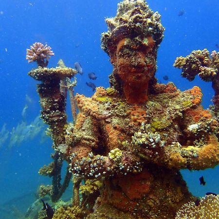 Biorock Homestay & Dive Center Pemuteran Dış mekan fotoğraf
