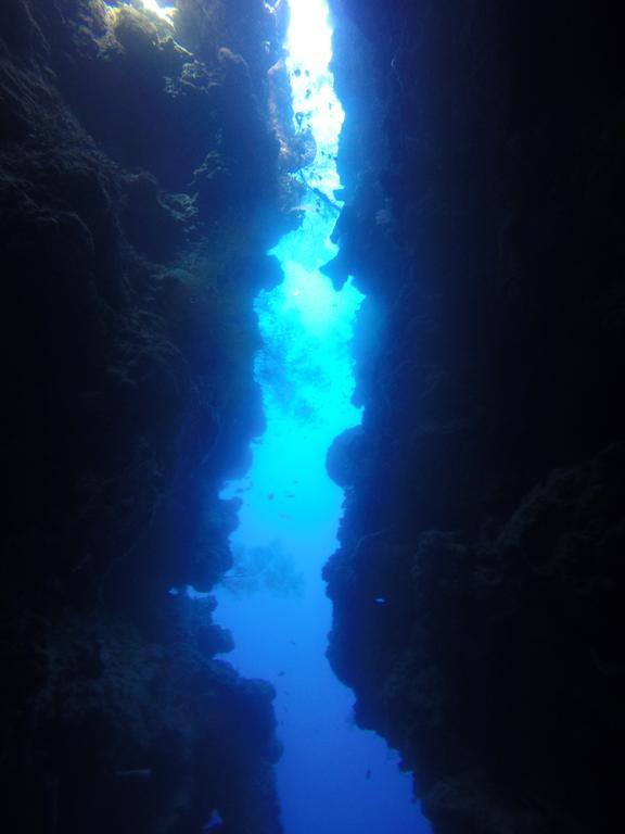 Biorock Homestay & Dive Center Pemuteran Dış mekan fotoğraf