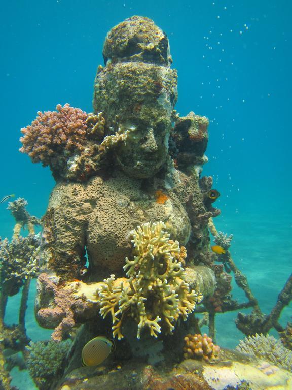 Biorock Homestay & Dive Center Pemuteran Dış mekan fotoğraf