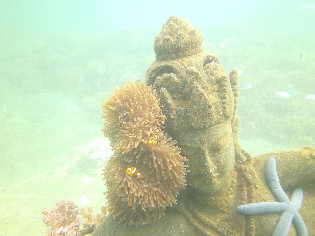 Biorock Homestay & Dive Center Pemuteran Dış mekan fotoğraf