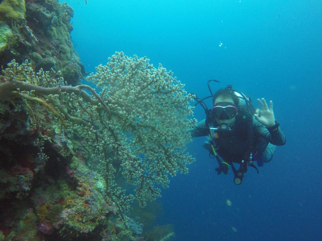 Biorock Homestay Pemuteran Dış mekan fotoğraf