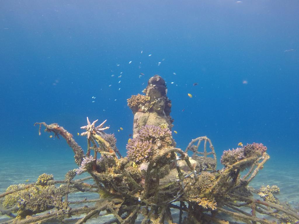 Biorock Homestay & Dive Center Pemuteran Dış mekan fotoğraf