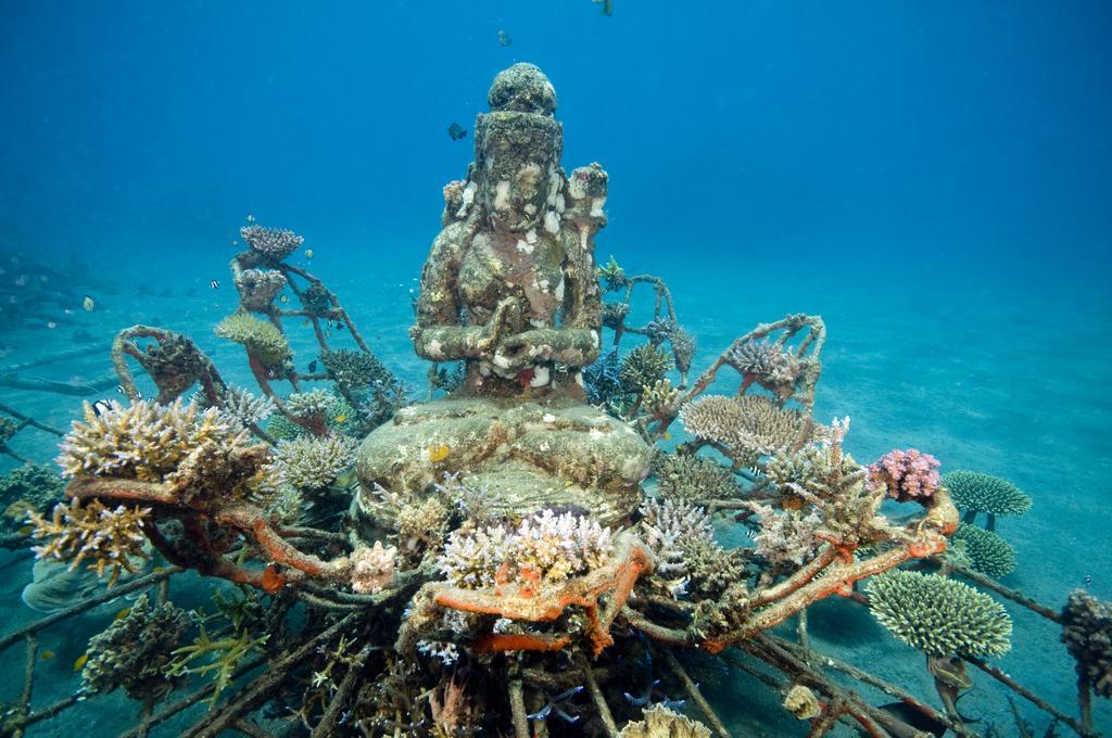 Biorock Homestay & Dive Center Pemuteran Dış mekan fotoğraf