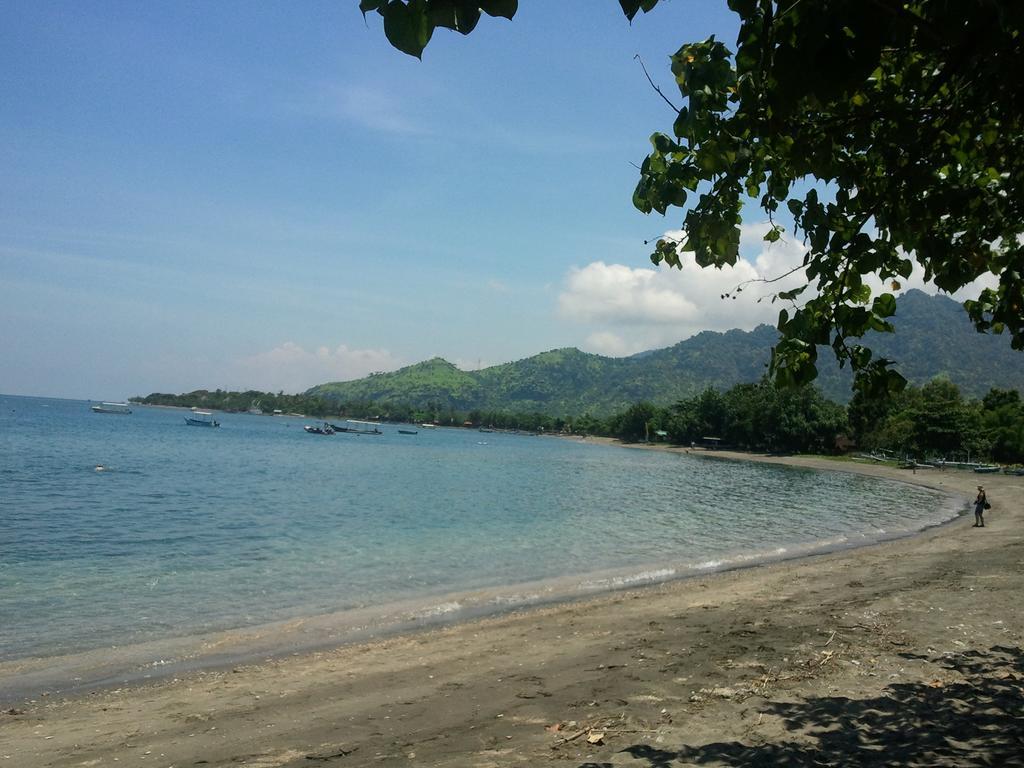 Biorock Homestay Pemuteran Dış mekan fotoğraf